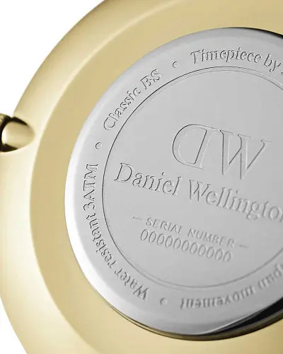 Daniel Wellington Petite Evergold DW00100346